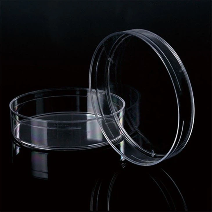 Pinggan Budaya Pakai
